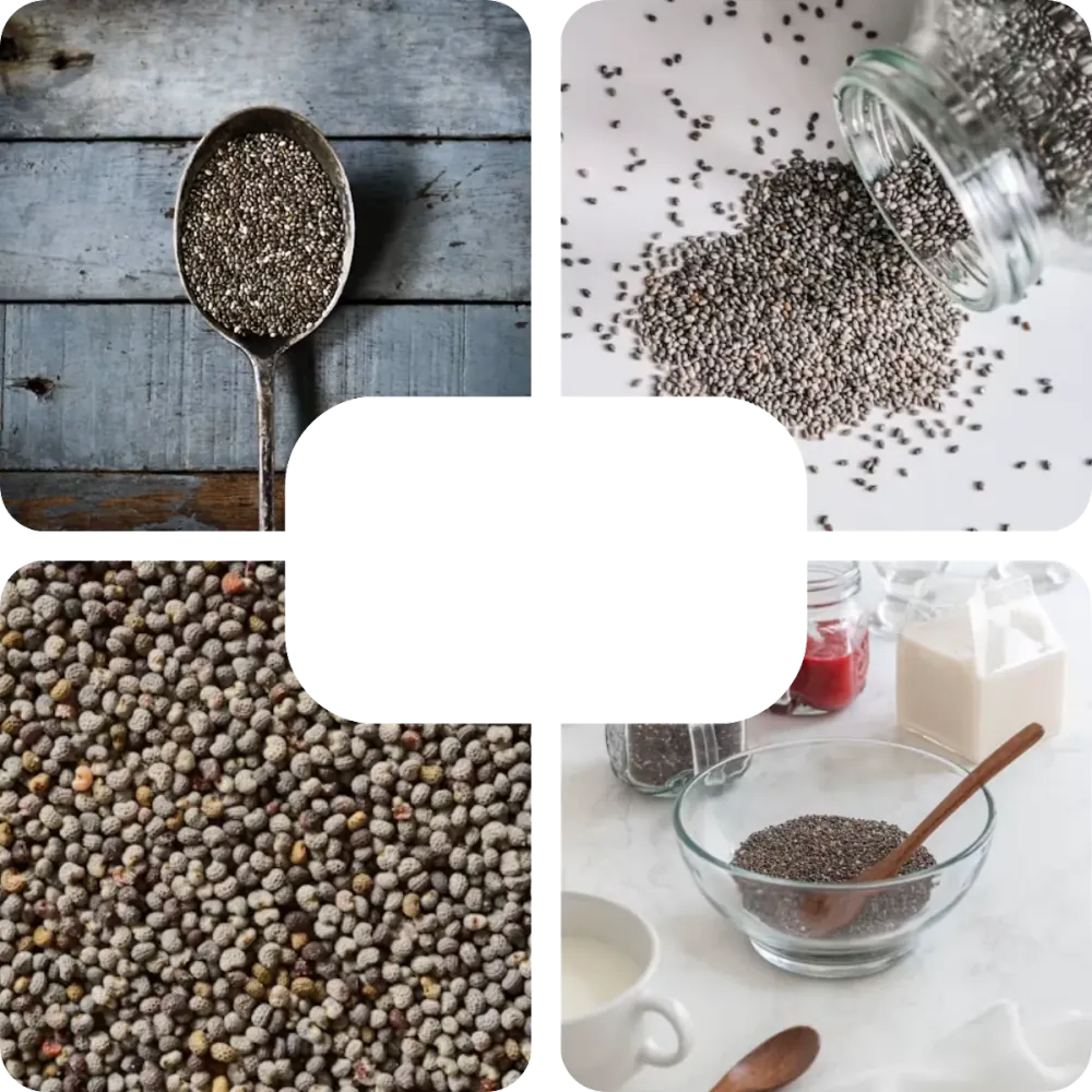 Chia seed curah premium: biji chia hitam dan putih dalam sendok, toples, dan mangkuk saji